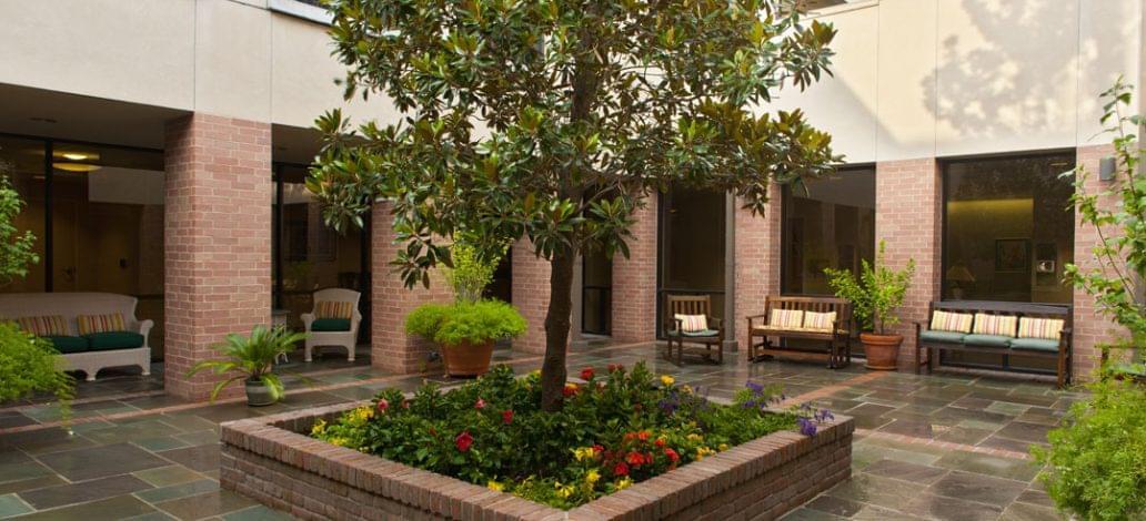 senior home care in houston tx